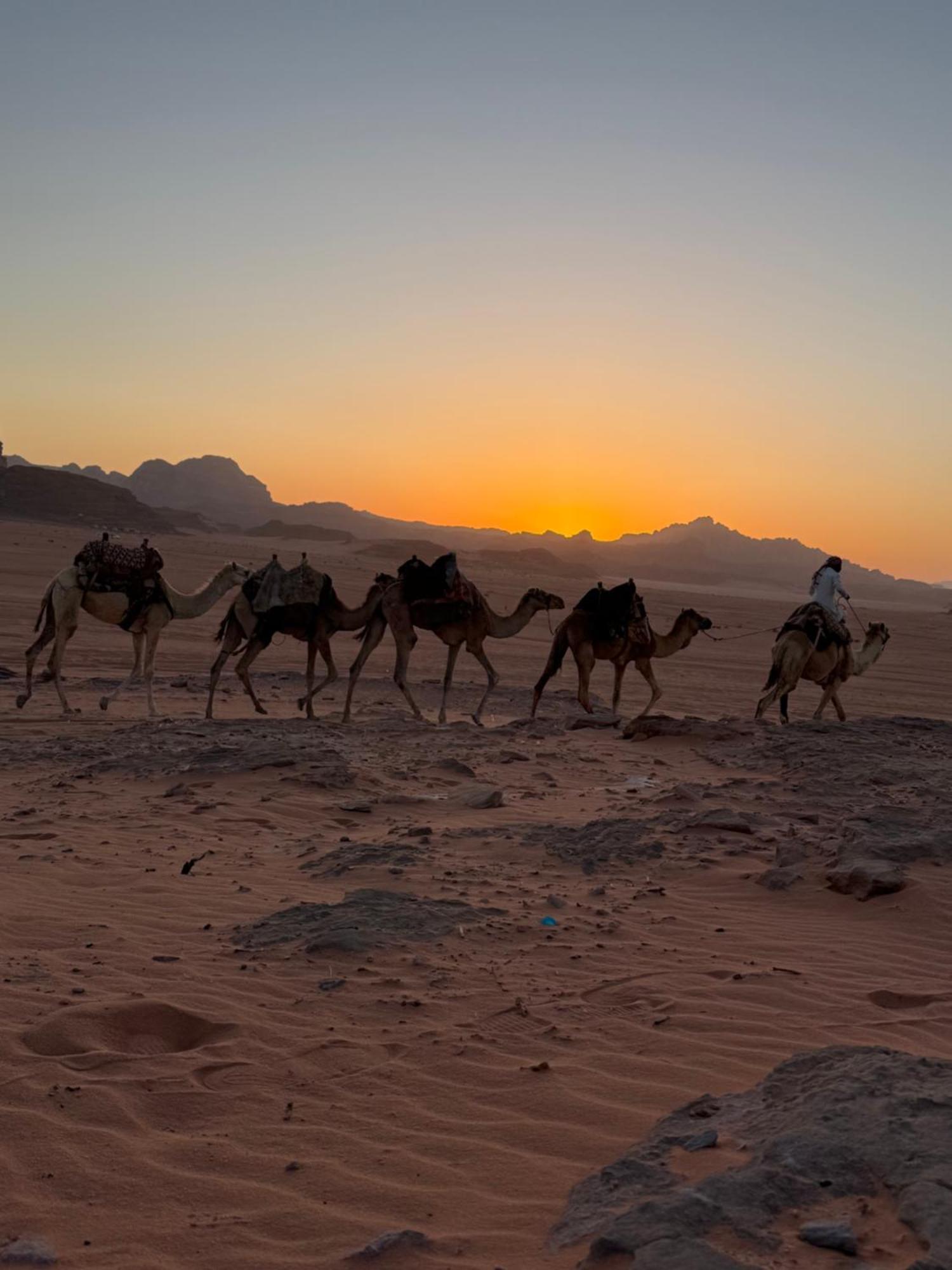 Faisal Wadi Rum Camp Exterior foto